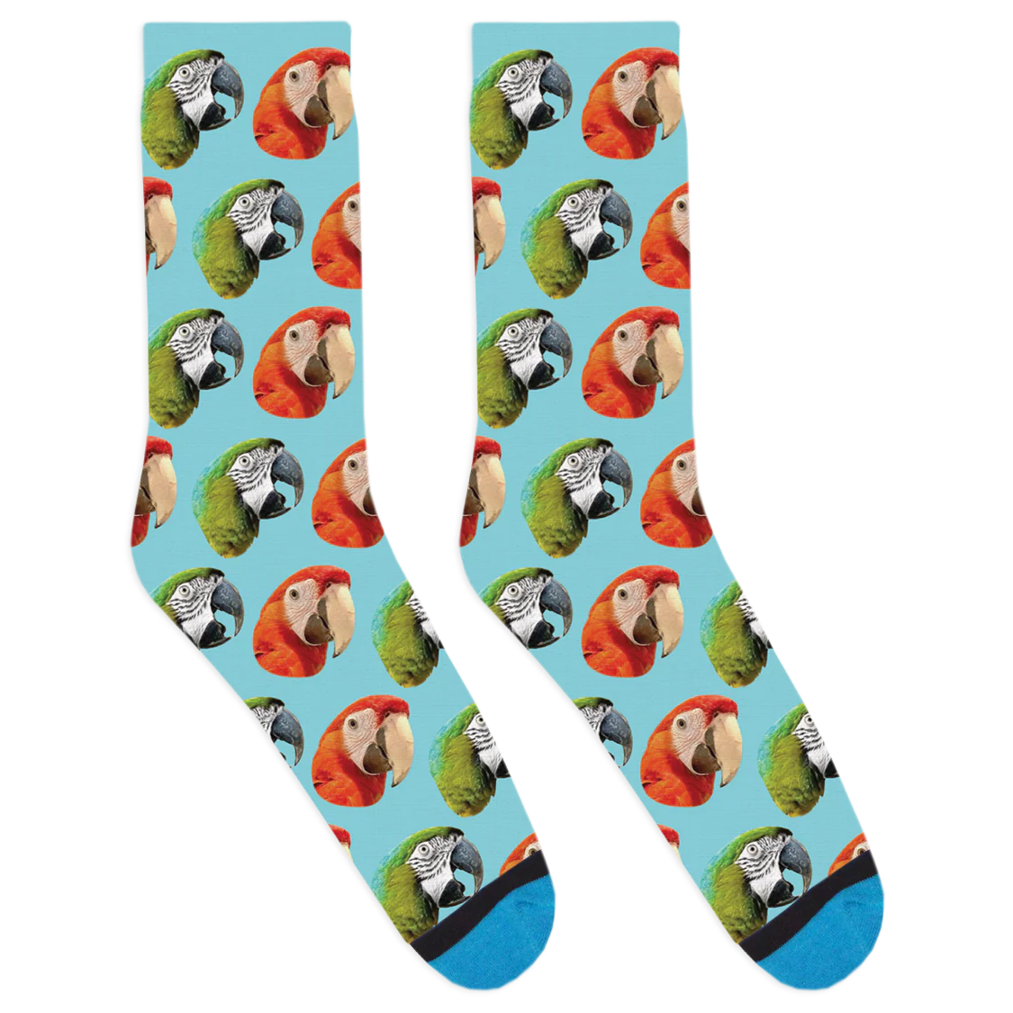 Captain Monty & Friends Socks