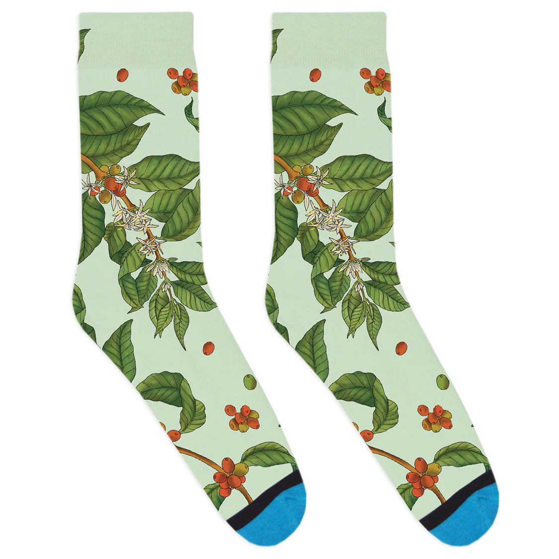 Coffee Plant Socks