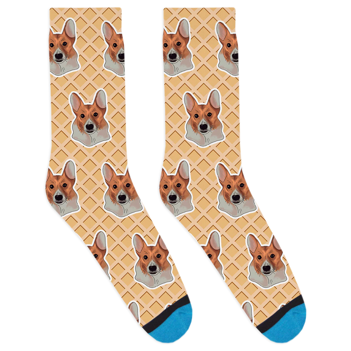 Corgi Socks