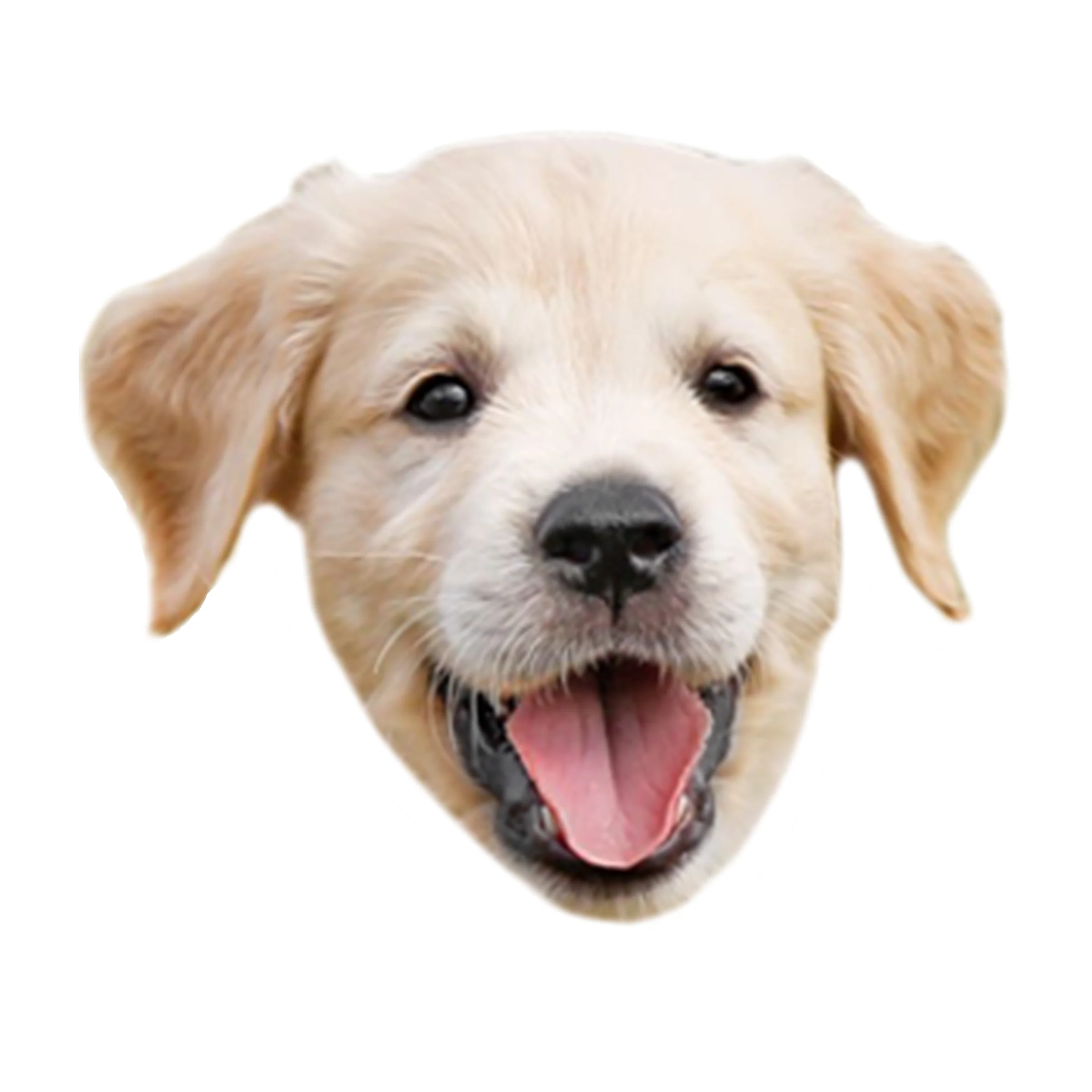 Custom Face Stickers Deal