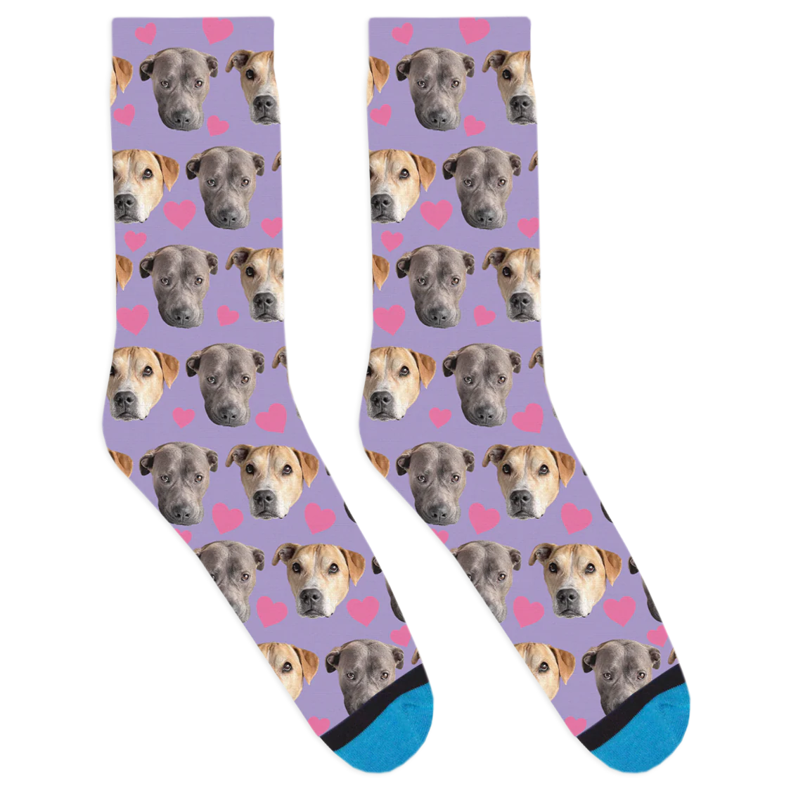 Desmond and Luna Socks