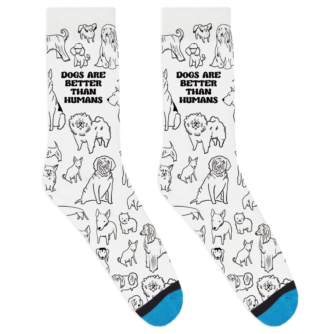 Dogs Are Better Than Humans Socks