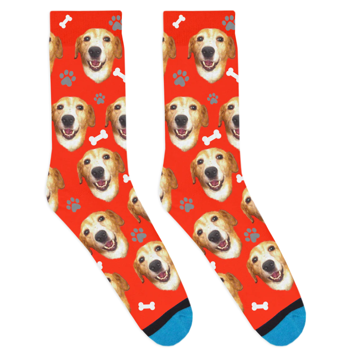 Custom Dog Socks - Image 9
