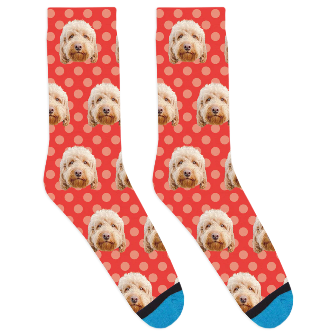 Dood it's Charlie Socks