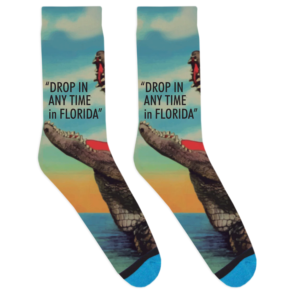 Florida Alligator Socks
