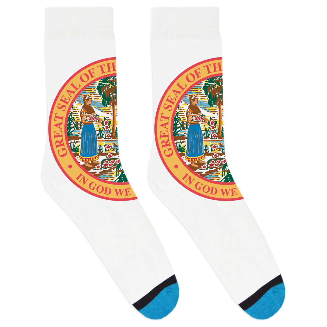 Florida Seal Socks - Image 2