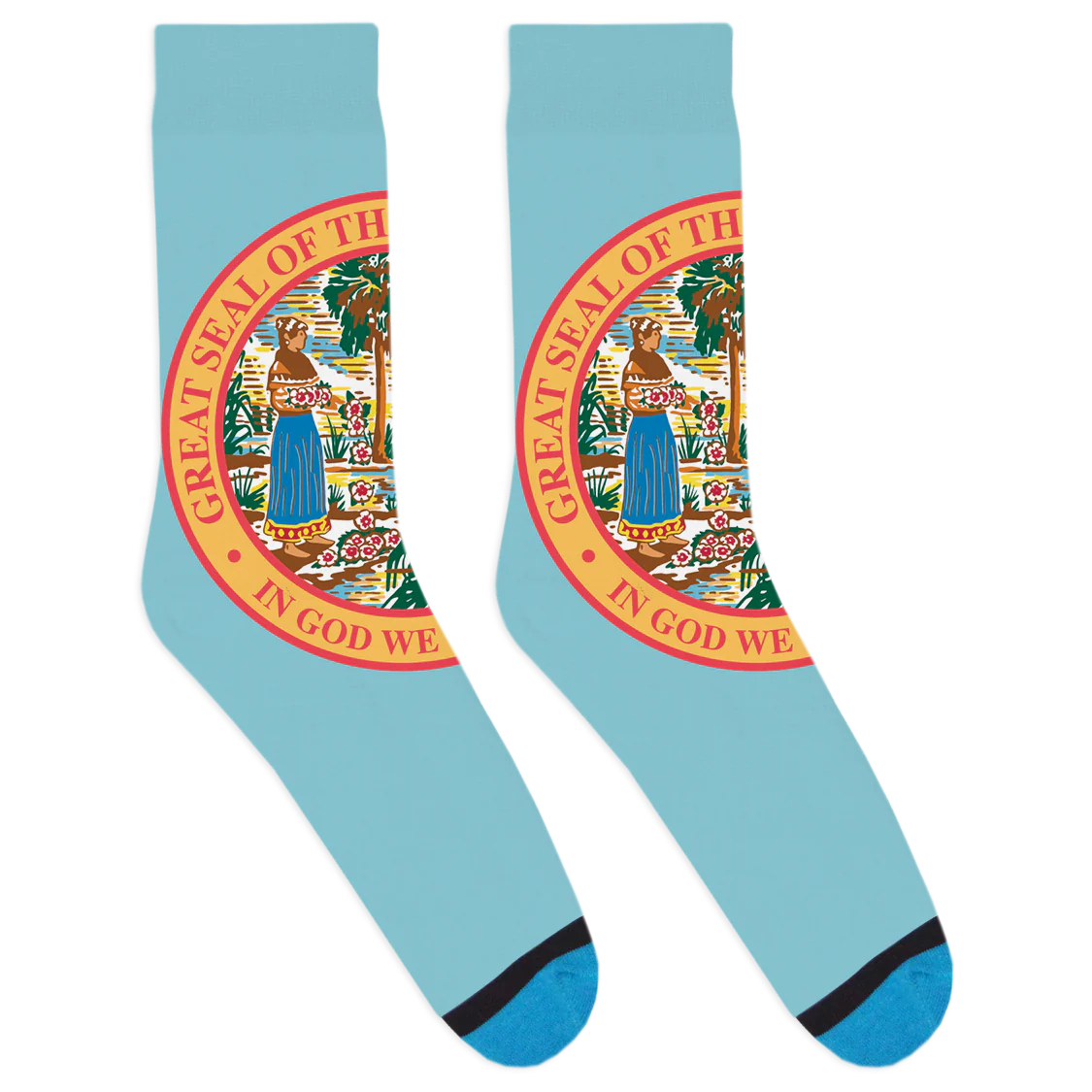 Florida Seal Socks - Image 3
