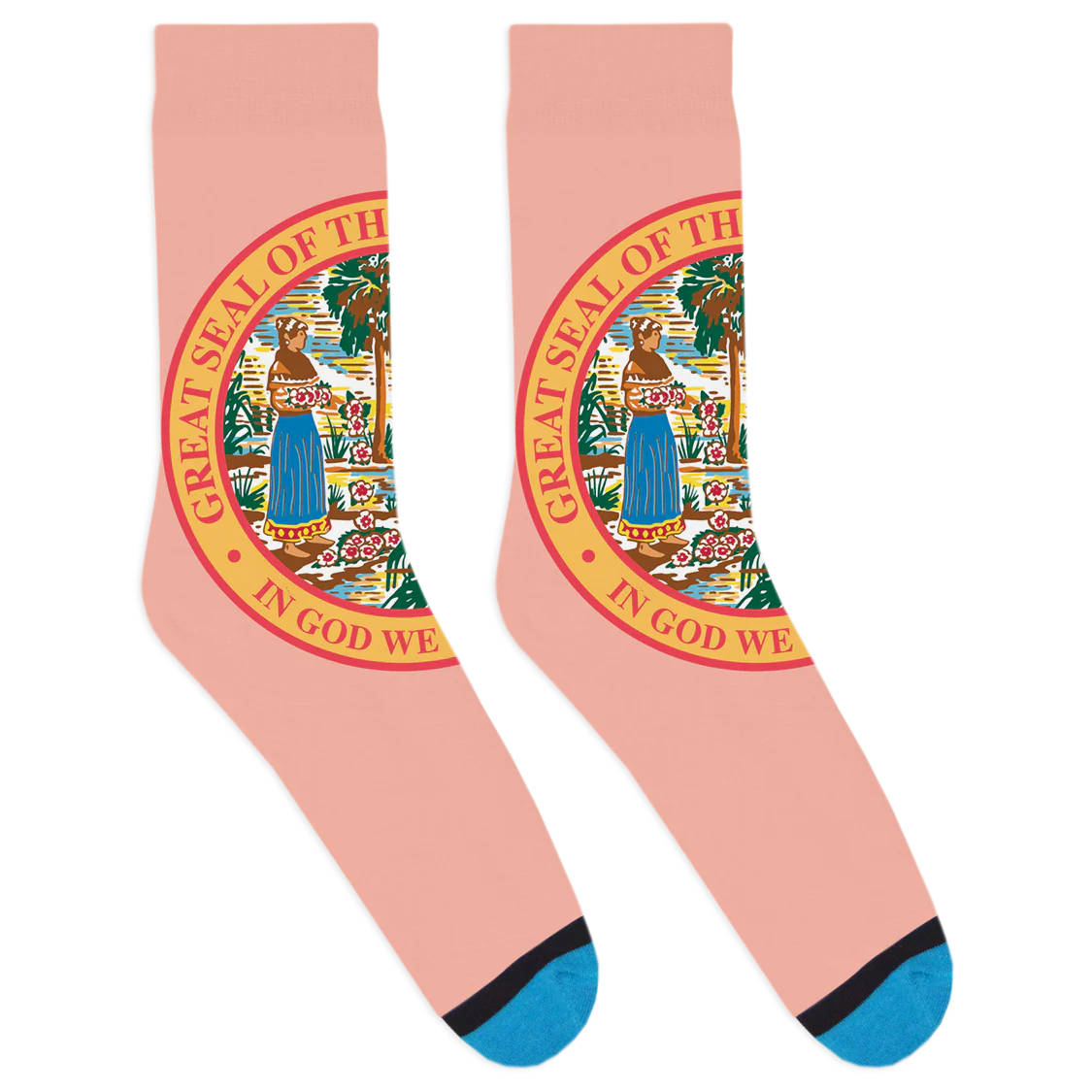 Florida Seal Socks - Image 4