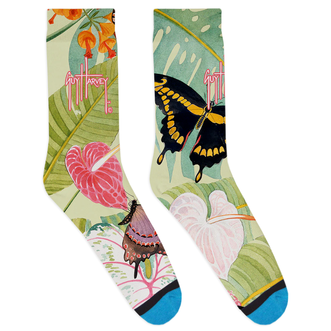Guy Harvey Collection: Butterfly