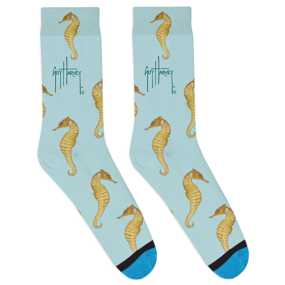 Guy Harvey Collection: Seahorse