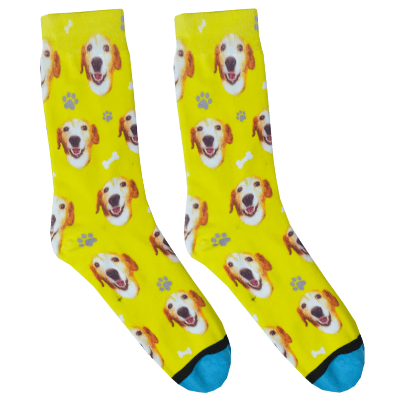 Custom Guy Harvey Test Socks - Image 11