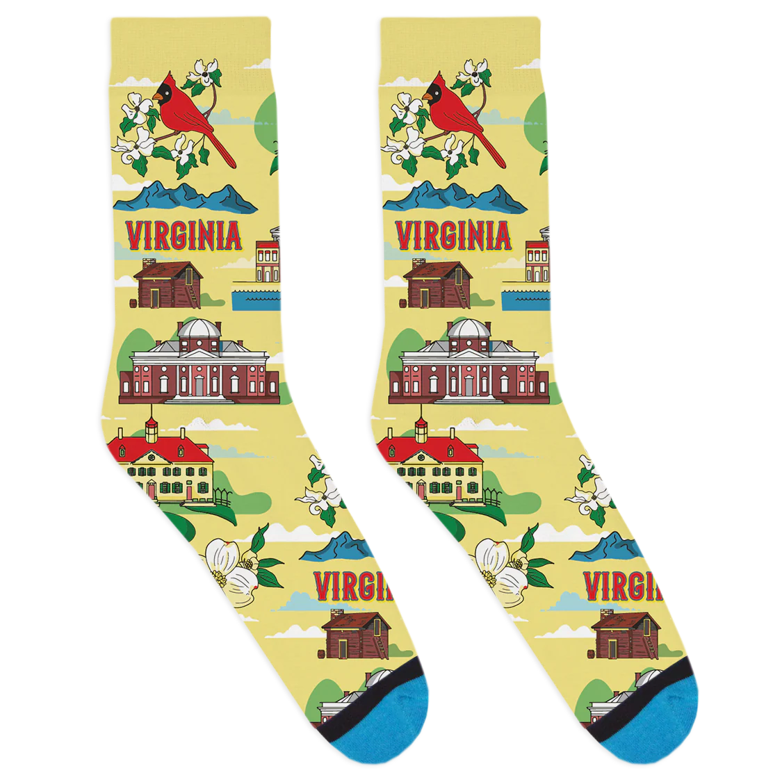 Local Landmarks - Virginia Socks