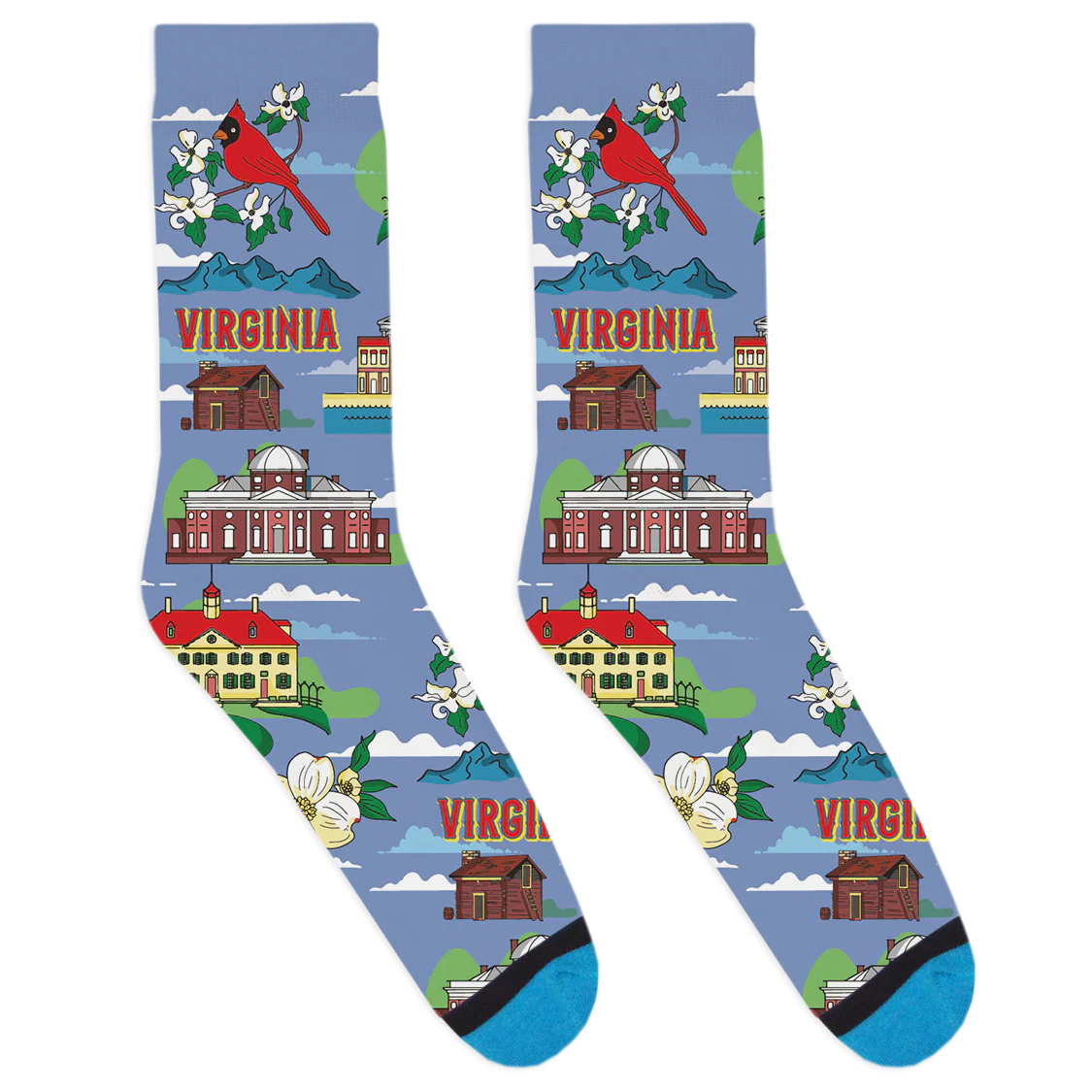 Local Landmarks - Virginia Socks - Image 2