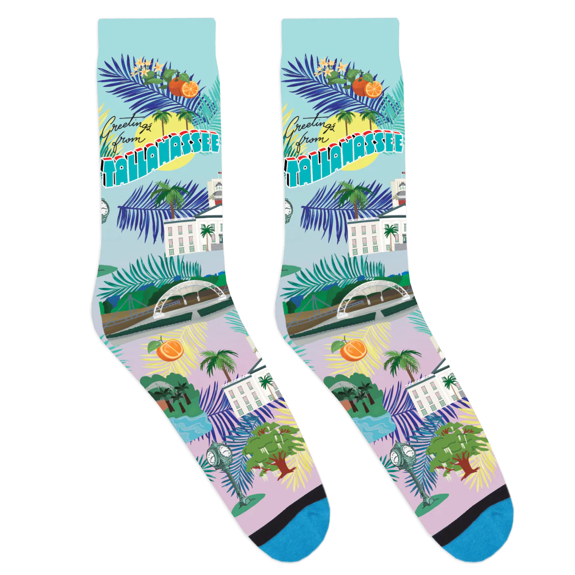 Tallahassee Statement Socks