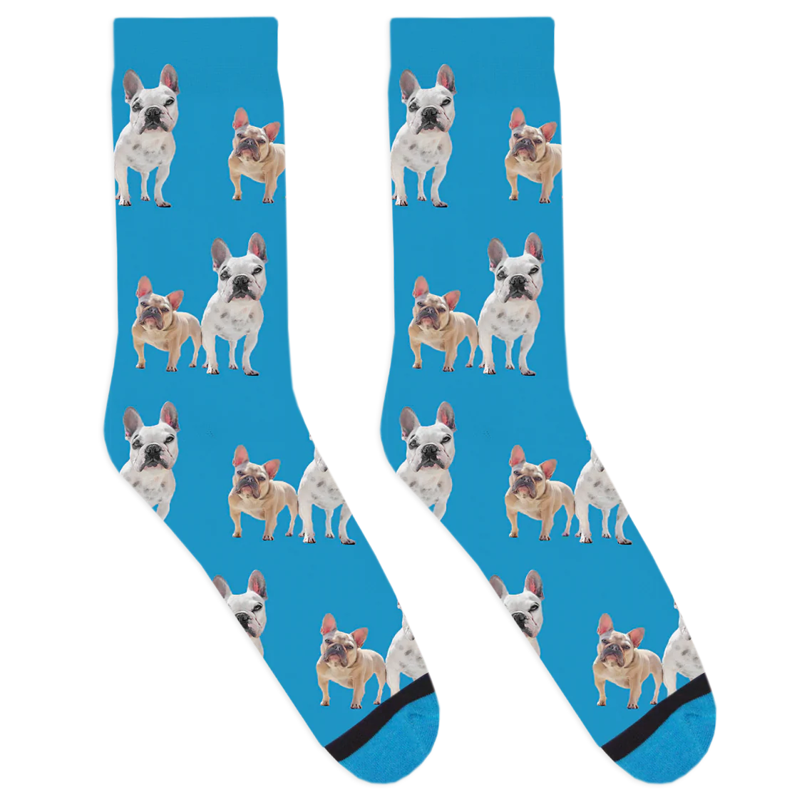 Walter Geoffrey and Charlotte Socks