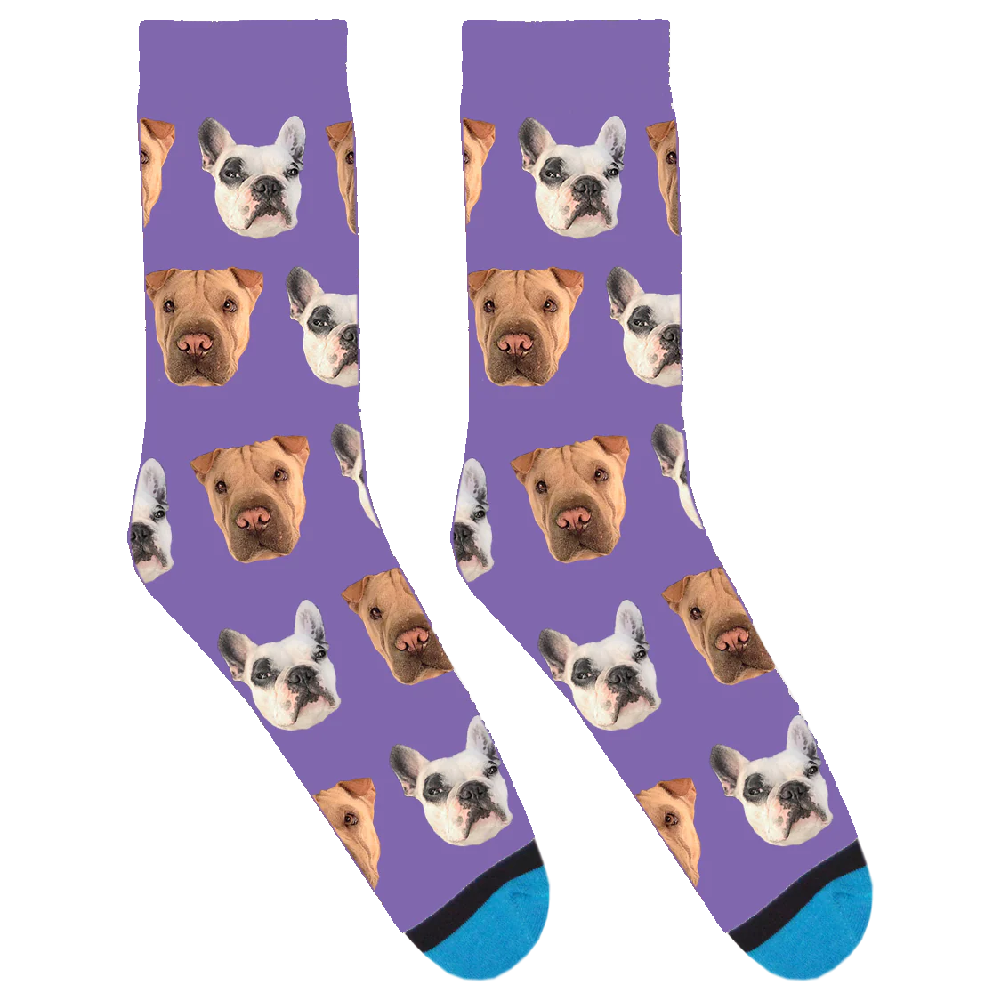 Walter Geoffrey and Maddy Socks